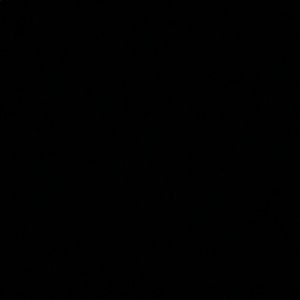 Meet your Posher, Latifa